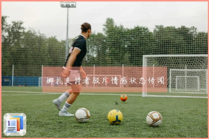 娜扎支持者驳斥情感状态传闻